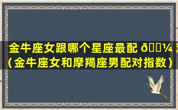 金牛座女跟哪个星座最配 🐼 对（金牛座女和摩羯座男配对指数）